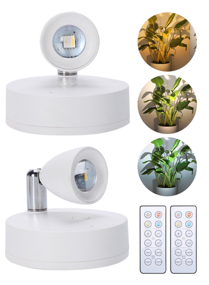 فلوكسهوم عبوتان من كشاف LED داخلي يعمل بالبطارية، إضاءة جدارية فنية صغيرة لاسلكية مع جهاز تحكم عن بُعد ومؤقت قابل للتعديل، إضاءة علوية صغيرة قابلة للتعتيم لعرض النباتات واللوحات الفنية والصور والخزائن (أبيض) - Image 1